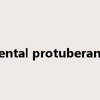 mental protuberance是什么意思