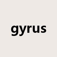 gyrus是什么意思