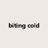 biting cold是什么意思