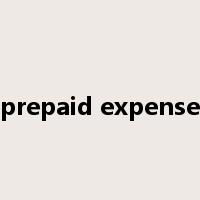 prepaid expense是什么意思