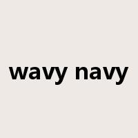 wavy navy是什么意思