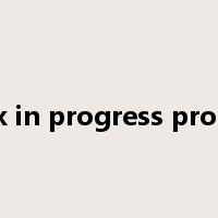 work in progress product是什么意思