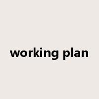 working plan是什么意思