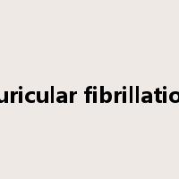 auricular fibrillation是什么意思