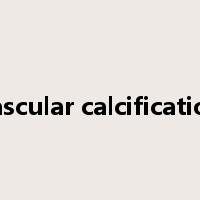 vascular calcification是什么意思