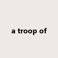 a troop of是什么意思