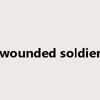 wounded soldier是什么意思