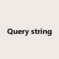 Query string是什么意思