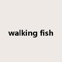 walking fish是什么意思