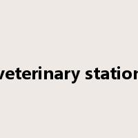 veterinary station是什么意思