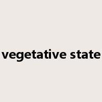 vegetative state是什么意思