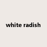 white radish是什么意思