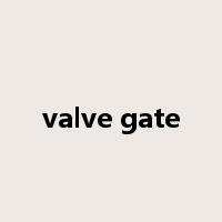 valve gate是什么意思