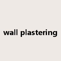 wall plastering是什么意思