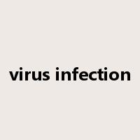 virus infection是什么意思