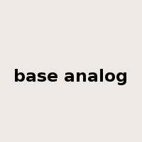 base analog是什么意思
