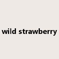 wild strawberry是什么意思