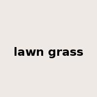 lawn grass是什么意思