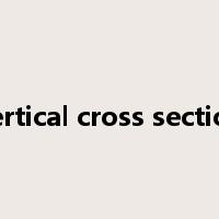 vertical cross section是什么意思