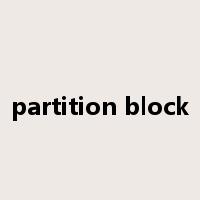 partition block是什么意思