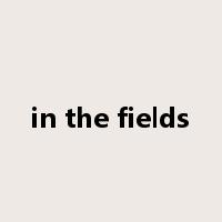 in the fields是什么意思