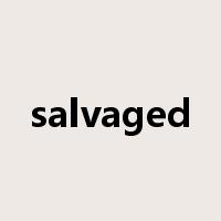 salvaged是什么意思