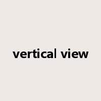 vertical view是什么意思