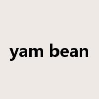 yam bean是什么意思