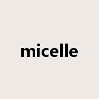 micelle是什么意思