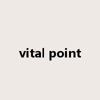 vital point是什么意思