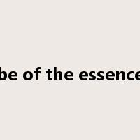 be of the essence是什么意思