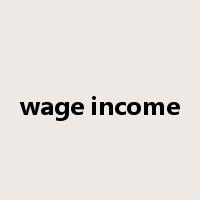 wage income是什么意思