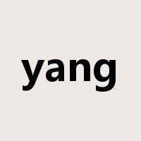 yang是什么意思
