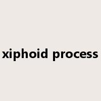 xiphoid process是什么意思