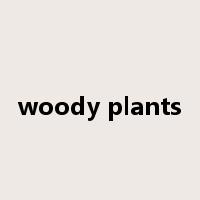 woody plants是什么意思
