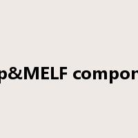 Chip&MELF component是什么意思