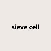 sieve cell是什么意思