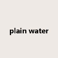 plain water是什么意思