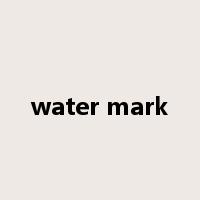 water mark是什么意思