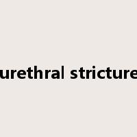 urethral stricture是什么意思