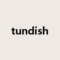 tundish是什么意思