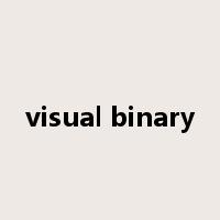 visual binary是什么意思