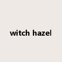 witch hazel是什么意思