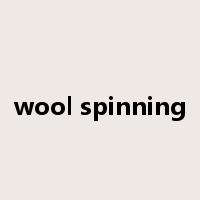 wool spinning是什么意思