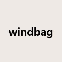windbag是什么意思