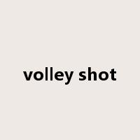 volley shot是什么意思