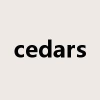 cedars是什么意思