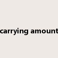 carrying amount是什么意思
