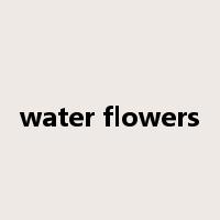 water flowers是什么意思