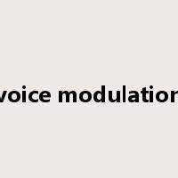 voice modulation是什么意思
